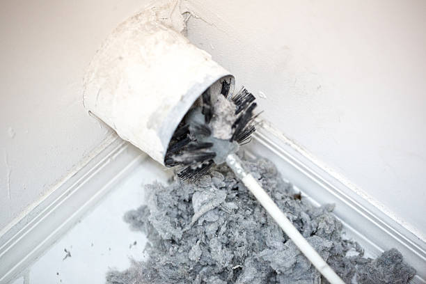 Air Duct Mold Removal in Stewartstown, PA